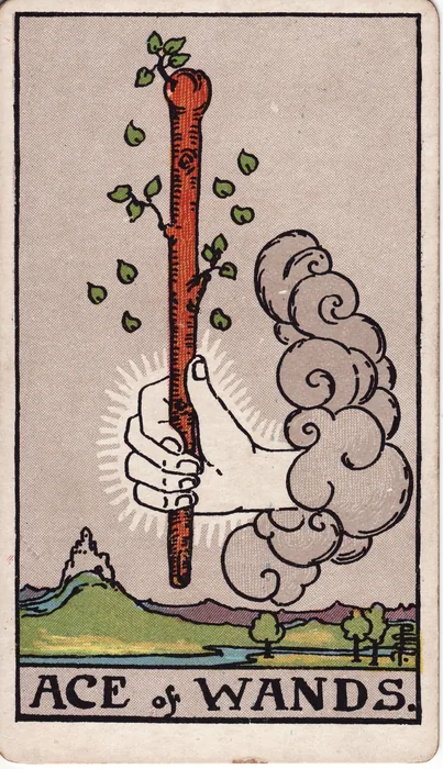 As de Bastões